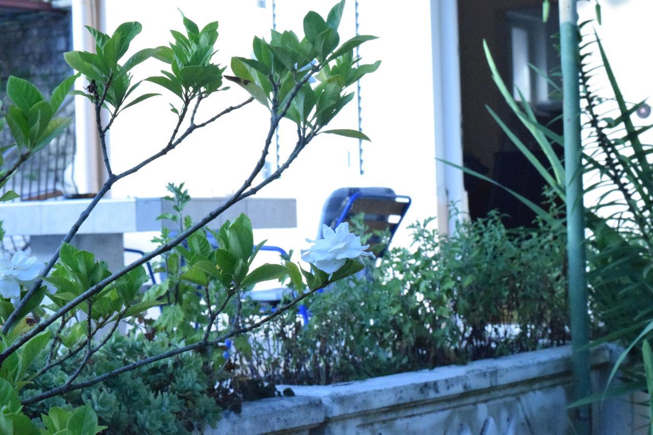 Apartment S&M Tivat Exterior foto