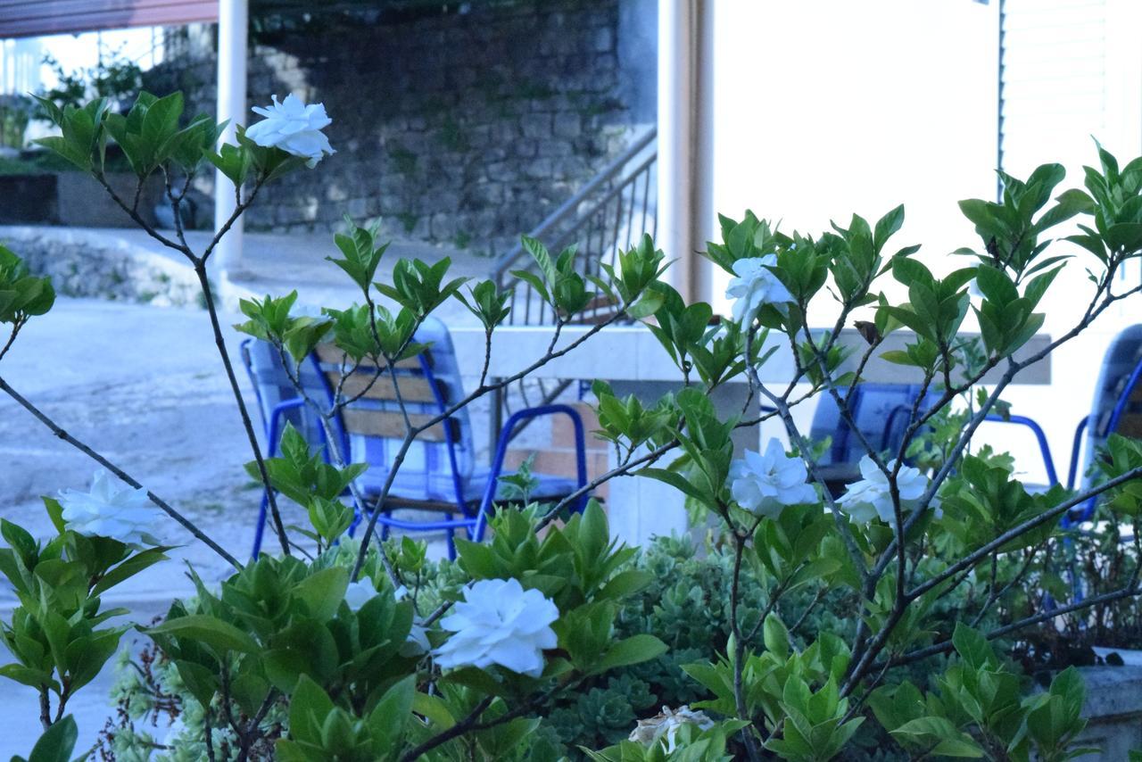 Apartment S&M Tivat Exterior foto